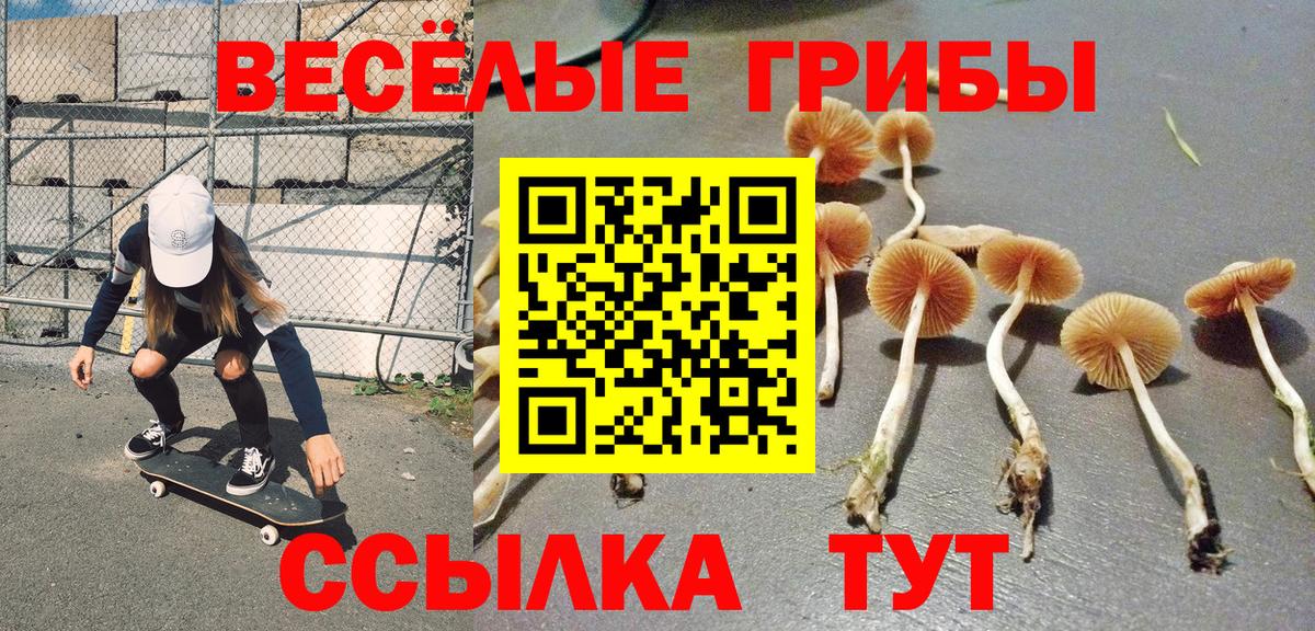 Галлюциногенные грибы мицелий  Псилоцибиновые грибы Cubensis  хочу   Курчатов  Вход с VPN 