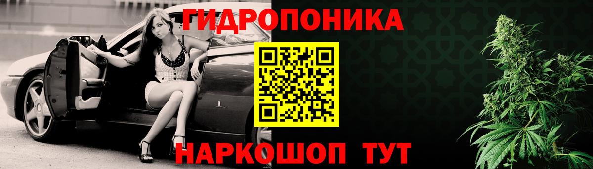 Шишки марихуана семена Курчатов